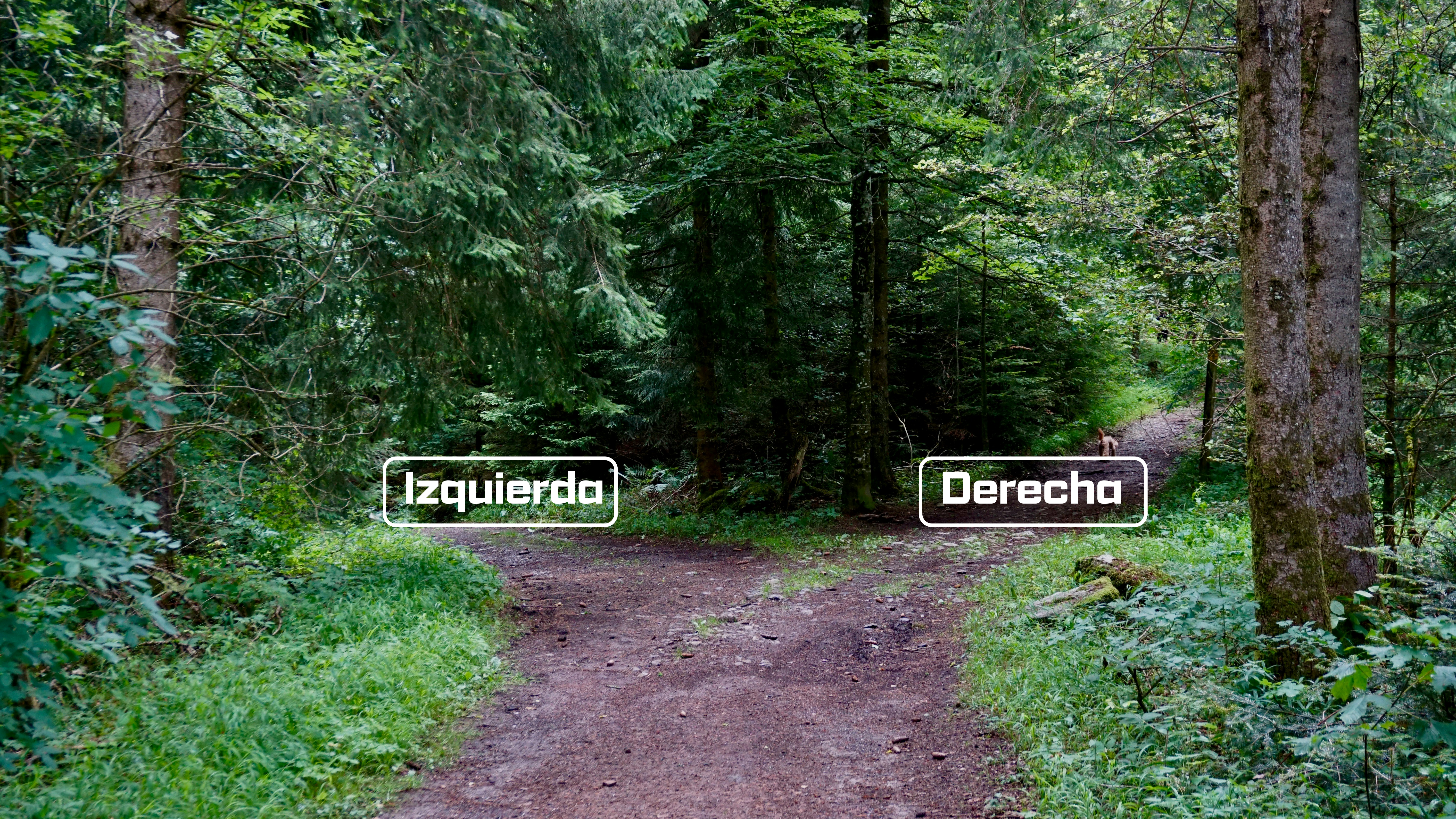 Imagen slider